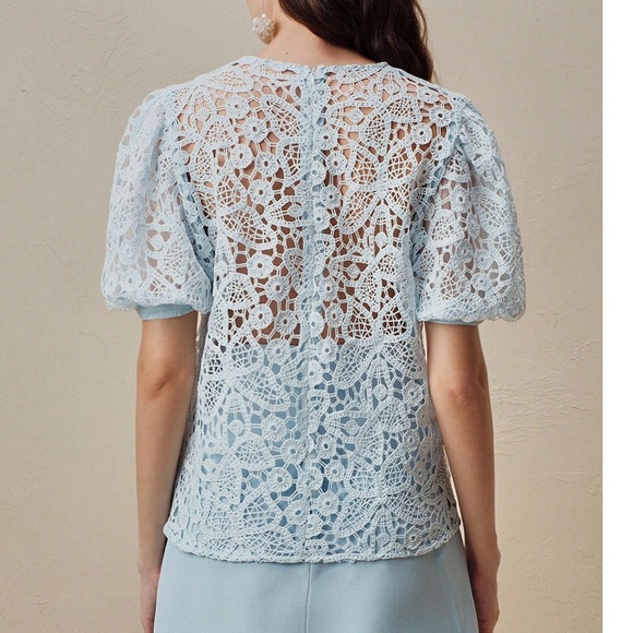 Classic Butterfly Lace Detail Semi Sheer Puff Sleeve Blouse - Picture 5 of 7